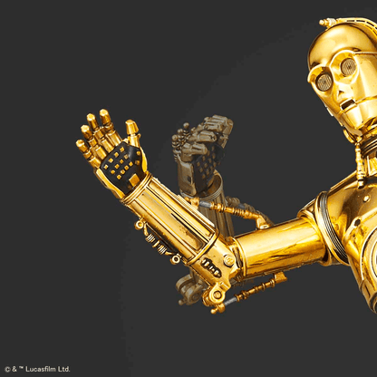 1/12 Star Wars C-3PO & R2-D2